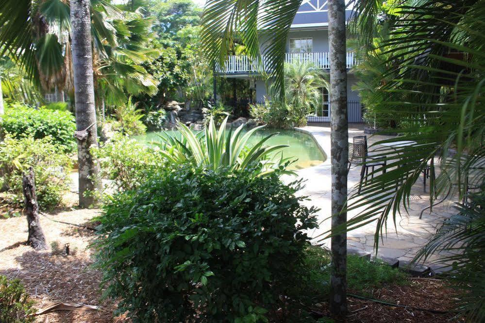 Cairns Tropical Gardens Motel Exteriér fotografie